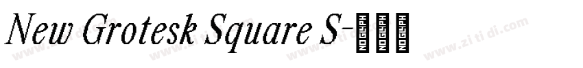 New Grotesk Square S字体转换 New Grotesk Square S字体转换